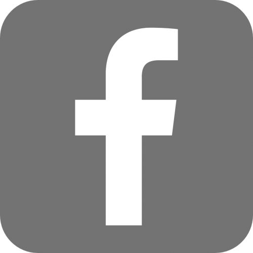 facebook logo f in a white box